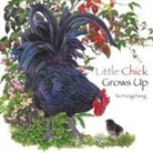 Yu Hongcheng - Little Chick Grows Up