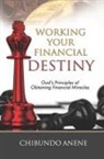 Chibundo Anene - Working Your Financial Destiny: God's Priciples of Obtaining Financial Miracles