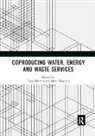 Luisa Ranzato Moretto, Luisa Moretto, Moretto Luisa, Marco Ranzato - Coproducing Water, Energy and Waste Services