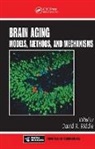 David R. Riddle, David R. Riddle, Riddle David R. - Brain Aging