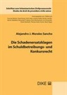 Alejandro Morales Sancho - Die Schadenersatzklagen im Schuldbetreibungs- und Konkursrecht
