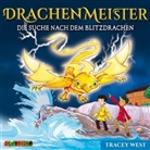 Tracey West, Tobias Diakow - Drachenmeister - Die Suche nach dem Blitzdrachen, 1 Audio-CD (Audio book)