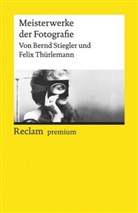 Bern Stiegler, Bernd Stiegler, Felix Thürlemann - Meisterwerke der Fotografie