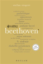 Stefan Siegert - Beethoven. 100 Seiten