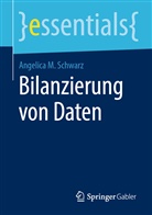Angelica M Schwarz, Angelica M. Schwarz - Bilanzierung von Daten