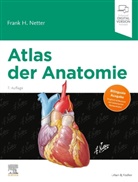 Frank H Netter, Frank H. Netter - Atlas der Anatomie