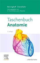 Beninghof, Beninghoff, Alfred Benninghoff, Drenckhahn, Detlev Drenckhahn, Detle Drenckhahn... - Taschenbuch Anatomie
