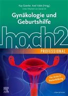 Zainab Ali, Kay Goerke, Axe Valet, Axel Valet - Gynäkologie und Geburtshilfe hoch2 professional
