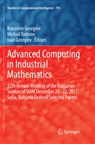 Ivan Georgiev, Krassimir Georgiev, Michai Todorov, Michail Todorov - Advanced Computing in Industrial Mathematics