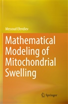 Messoud Efendiev - Mathematical Modeling of Mitochondrial Swelling
