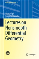 Nicol Gigli, Nicola Gigli, Enrico Pasqualetto - Lectures on Nonsmooth Differential Geometry