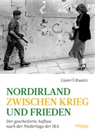 Liam Ó Ruairc, Dieter Reinisch, Melanie Janet Sindelar - Nordirland zwischen Krieg und Frieden