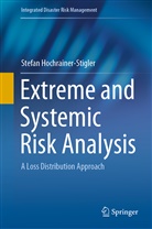 Stefan Hochrainer-Stigler - Extreme and Systemic Risk Analysis