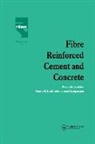 R. N. Swamy, R.N. Swamy, R.N. Swamy - Fibre Reinforced Cement and Concrete