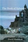 David Shaddock - The Book of Splendor: New and Selected Poems on Spiritual Themes
