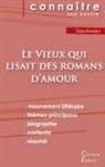 Luis Sepúlveda - Fiche de lecture Le Vieux qui lisait des romans d'amour (Analyse littéraire de référence et résumé complet)
