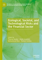 Mohammad Bitar, Mohammad Bitar et al, Pedram Fardnia, Diete Gramlich, Dieter Gramlich, Thomas Walker - Ecological, Societal, and Technological Risks and the Financial Sector