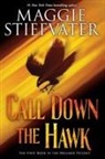Maggie Stiefvater - Call Down the Hawk