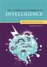 Robert J. (Cornell University Sternberg, Robert J. Sternberg, Robert J. (Cornell University Sternberg - Cambridge Handbook of Intelligence