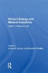 James P. Dorian, James P. Dorian, Dorian James P., David G. Fridley - China''s Energy and Mineral Industries
