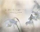 Nicki Gwynn-Jones - In the Dreamtime