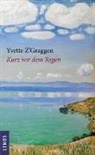 Yvette ZGraggen, Yvette Z'Graggen, Yla M. von Dach - Kurz vor dem Regen