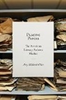 Amy Hildreth Chen - Placing Papers