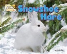 Dee Phillips - Snowshoe Hare