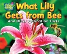 Ellen Lawrence - What Lily Gets from Bee