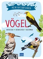 Michel Luchesi, Maud Bihan - Mein Naturführer - Vögel