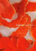 Ut Bartel, Ute Bartel, Barbara Hofmann-Johnson - Ute Bartel: mansionaticum