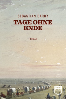 Sebastian Barry - Tage ohne Ende - Roman