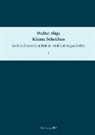 Walter Slaje, Jürgen Hanneder, Andrea Pohlus, Andreas Pohlus, Roland Steiner - Kleine Schriften zur kaschmirischen Kultur- und Geistesgeschichte. Band 1