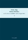 Walter Slaje, Jürgen Hanneder, Andrea Pohlus, Andreas Pohlus, Roland Steiner - Kleine Schriften zur kaschmirischen Kultur- und Geistesgeschichte. Band 2