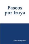 Luis Caro Figueroa, Luis Caro Figueroa - Paseos Por Iruya