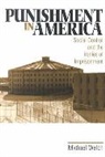 Michael Welch, Michael F. Welch - Punishment in America