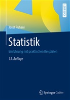 Josef Puhani - Statistik