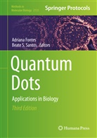 Adrian Fontes, Adriana Fontes, S Santos, S Santos, Beate S. Santos - Quantum Dots