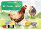 Katharina Stöckl-Bauer, Monika Klars - Wie lebt das Huhn? Kamishibai Bildkartenset