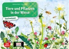 Katharina Stöckl-Bauer, Monika Klars - Tiere und Pflanzen in der Wiese. Kamishibai Bildkartenset