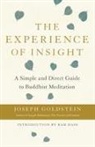 Joseph Goldstein - The Experience of Insight