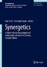 Hermann Haken, Axel Hutt - Synergetics