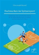 Christoph Bayerl - Dachmarken im Spitzensport: Einführung einer gemeinsamen Marke für die Spitzensportvereine in Fußball und Basketball in St. Pölten