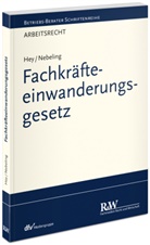 Thoma Hey, Thomas Hey, Martin Nebeling, Martin (Dr.) Nebeling - Fachkräfteeinwanderungsgesetz