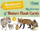 Chiara Piroddi, Agnese Baruzzi - My First Flash Cards Box: Discovering Forest Animals Montessori