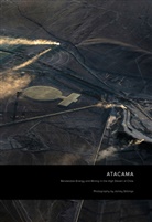 Jamey Stillings, Jamey Stillings - ATACAMA