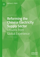 Michael Pollitt, Michael G Pollitt, Michael G. Pollitt - Reforming the Chinese Electricity Supply Sector