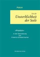 Platon, Dir Bertram, Dirk Bertram - Über die Unsterblichkeit der Seele