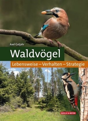 Axel Gutjahr - Waldvögel - Lebensweise - Verhalten - Strategie