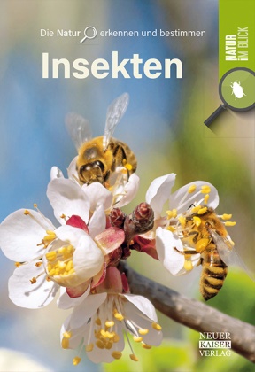 Insekten - Die Natur erkennen und bestimmen - Natur im Blick